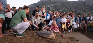 Tedavisi tamamlanan 10 deniz kaplumbağası denizle buluşturuldu