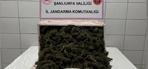 Şanlıurfa'da 35 kilogram esrar ele geçirildi