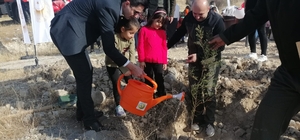 Kargı'da anaokulu öğrencileri fidan dikti