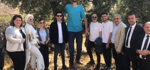 Mardin´de zeytin hasadı 'Dünyanın en uzun adamı' Sultan Kösen'in de katılımıyla başladı