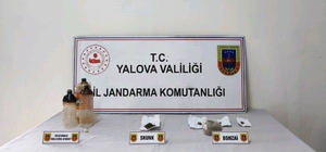 Yalova'da ormanlık alanda uyuşturucu ürettiği iddia edilen zanlı tutuklandı