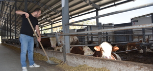 Bursalı 9 kasap kuzen, devlet desteğiyle besi çiftliği kurdu