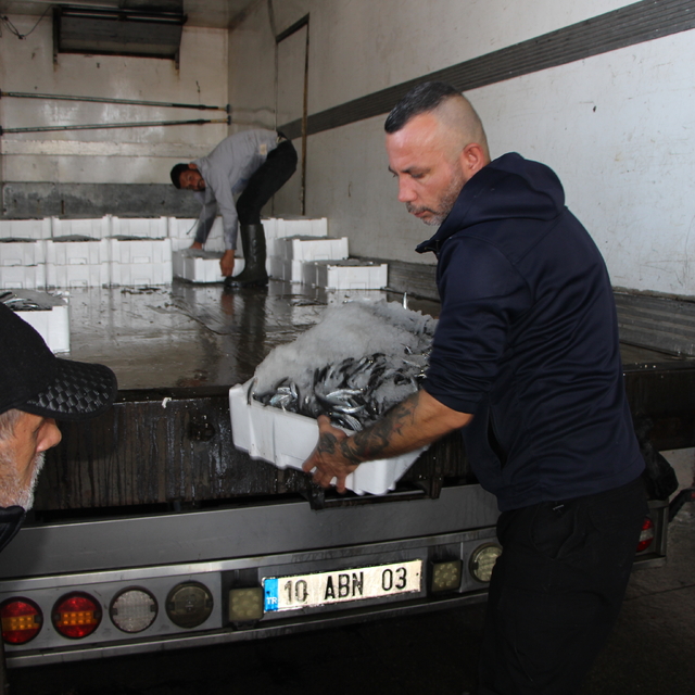 Bandırma'daki su ürünleri halinde balık bolluğu yaşanıyor