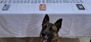 Kilis'te uyuşturucu operasyonunda 6 şüpheli gözaltına alındı