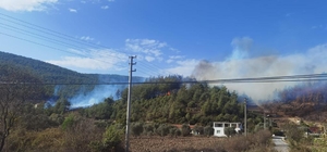 Muğla'da orman yangını başladı