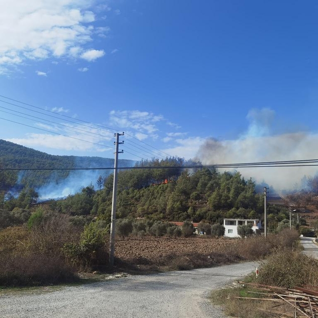 Muğla'da orman yangını başladı