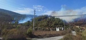 Muğla'da orman yangını