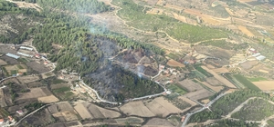 GÜNCELLEME - Muğla'da çıkan orman yangını söndürüldü