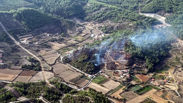 Muğla'da orman yangını (2)