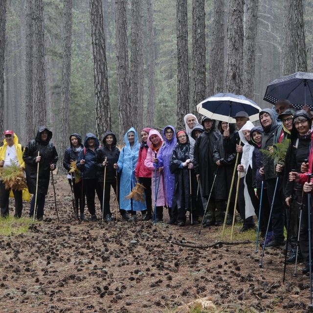 Mudanyalı doğaseverler Kocayayla'da doğa yürüyüşü düzenledi