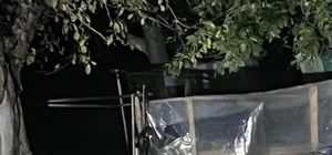 Günlerdir ilçede gezinen bozayı, bu kez evin bahçesine girdi