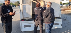 Sivrice'de yaralı bulunan köpek tedavi altına alındı