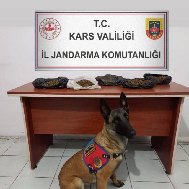 Kars'ta evinde uyuşturucu ele geçirilen zanlı tutuklandı