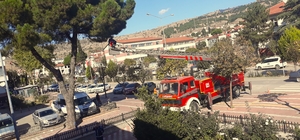 Amasya'da ağaçta mahsur kalan kediyi itfaiye kurtardı