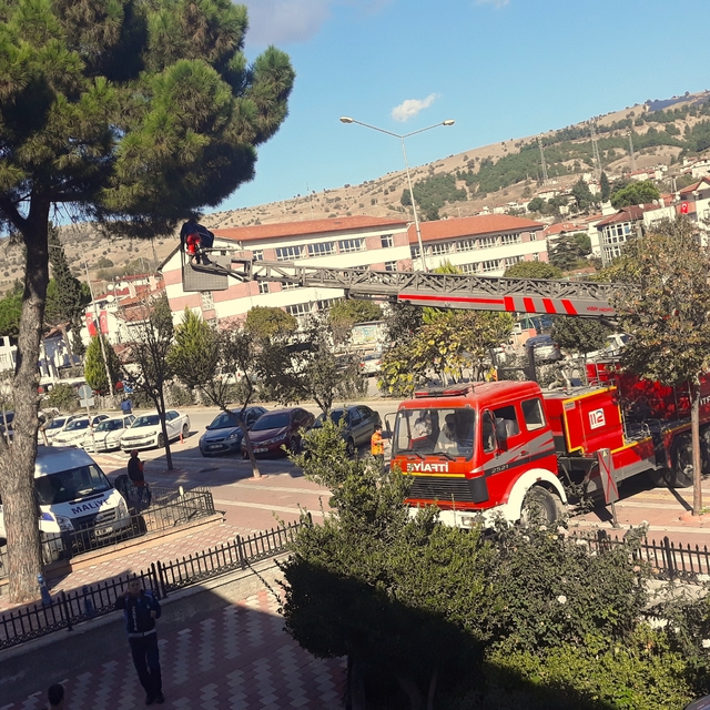 Amasya'da ağaçta mahsur kalan kediyi itfaiye kurtardı
