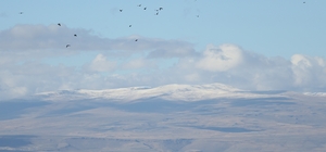 Kars'ın yüksek kesimlerinde kar etkili oldu 