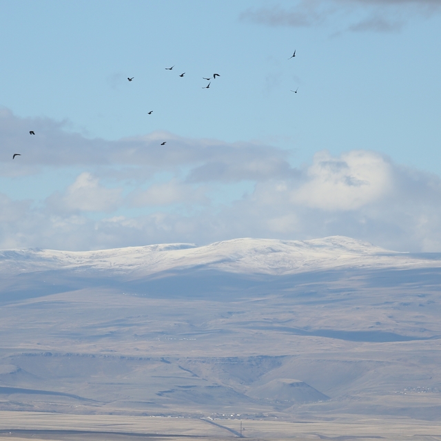 Kars'ın yüksek kesimlerinde kar etkili oldu
