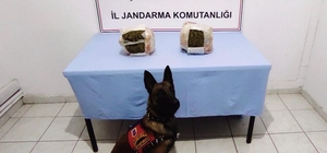 Şanlıurfa'da 3 kilogram skunk ele geçirildi