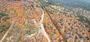 Balıkesir'in 1764 rakımlı Ulus Dağı'ndaki sonbahar renkleri dronla görüntül...