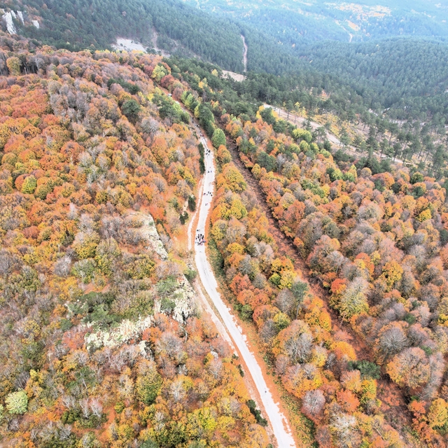 Balıkesir'in 1764 rakımlı Ulus Dağı'ndaki sonbahar renkleri dronla görüntül...
