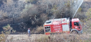 Çorum'da çıkan yangında 10 dekar ceviz bahçesi zarar gördü