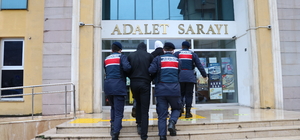 Artvin'de 15 düzensiz göçmen yakalandı