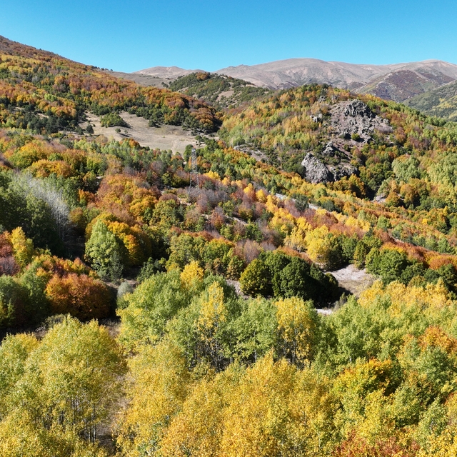 Sivas Valisi Şimşek'ten "sonbahar" paylaşımı