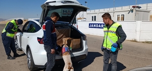 Kırşehir'de kaçakçılık operasyonu