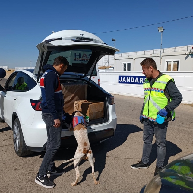 Kırşehir'de kaçakçılık operasyonu