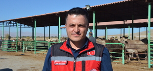 Afşinli depremzede üreticilere hayvan desteği