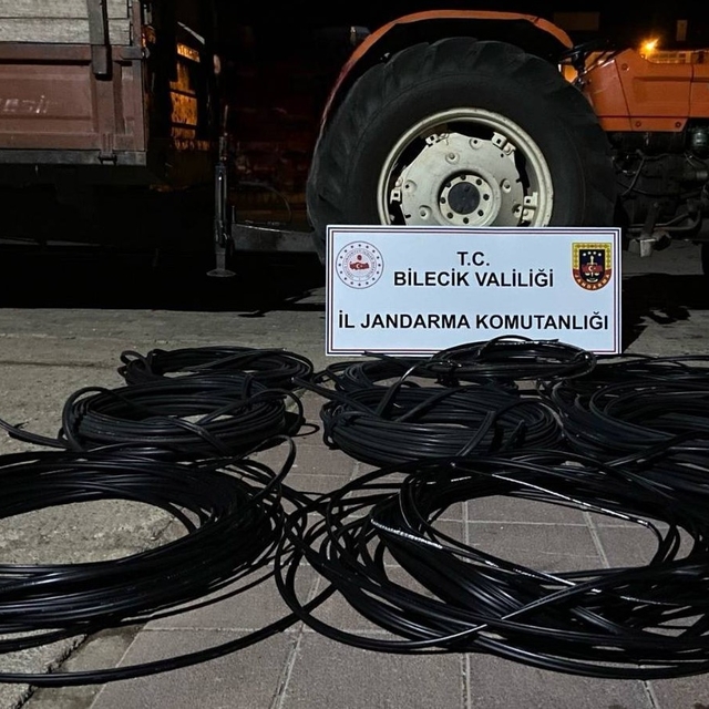 Bilecik'te direklerden telefon kablosu hırsızlığı şüphelisi yakalandı