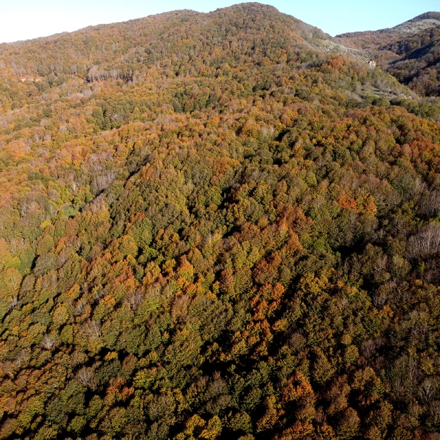 Osmaniye'deki Dumanlı Yaylası sonbahar renklerine büründü