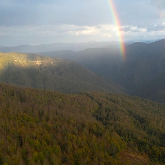Kastamonu ormanlarında sonbaharın renkleri hakim oluyor
