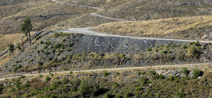 Muğla'da 2 yıl önce yanan ormanlar yeniden yeşeriyor