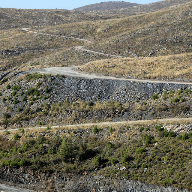 Muğla'da 2 yıl önce yanan ormanlar yeniden yeşeriyor