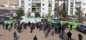 Zara'da vatandaşlara 6 bin fidan dağıtıldı