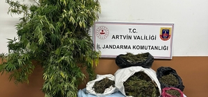 Artvin'de uyuşturucu operasyonunda 5 şüpheli tutuklandı