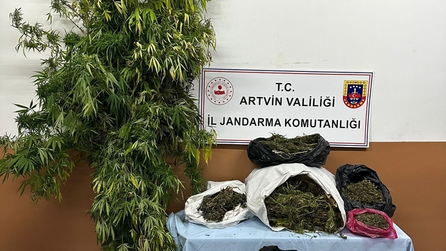 Artvin'de uyuşturucu operasyonunda 5 şüpheli tutuklandı