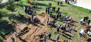 Mengen'de 100 fidan toprakla buluşturuldu