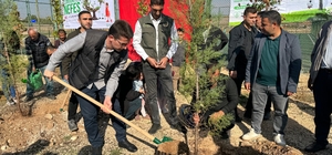 Kocaköy'de 21 farklı noktada 2 bin 23 fidan toprakla buluşturuldu