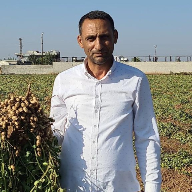 Harranlı çiftçi alternatif ürün olarak ektiği yer fıstığından iyi sonuç ald...