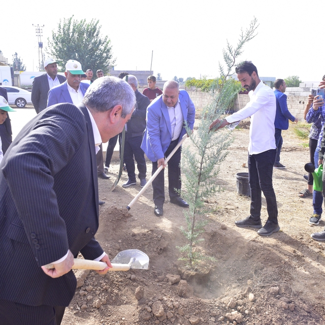 Şanlıurfa'da "Milli Ağaçlandırma Günü"nde fidanlar toprakla buluşturuldu