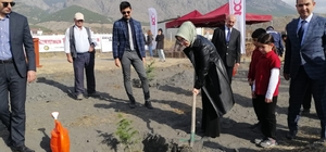 Kargı'da fidanlar toprakla buluşturuldu