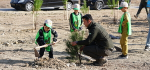 Osmancık'ta 100 fidan toprakla buluşturuldu