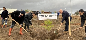 Hayrabolu'da fidanlar toprakla buluştu