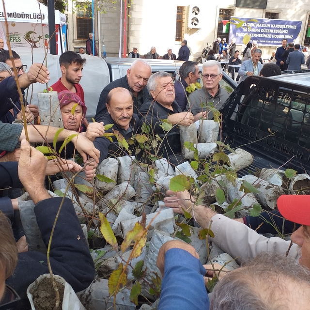Zonguldak'ta vatandaşlara fidan dağıtıldı
