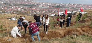 Tatvan'da 500 fidan toprakla buluşturuldu