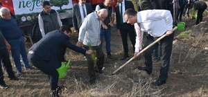 Boyabat'ta "Adalet Ormanı"na 100 fidan dikildi