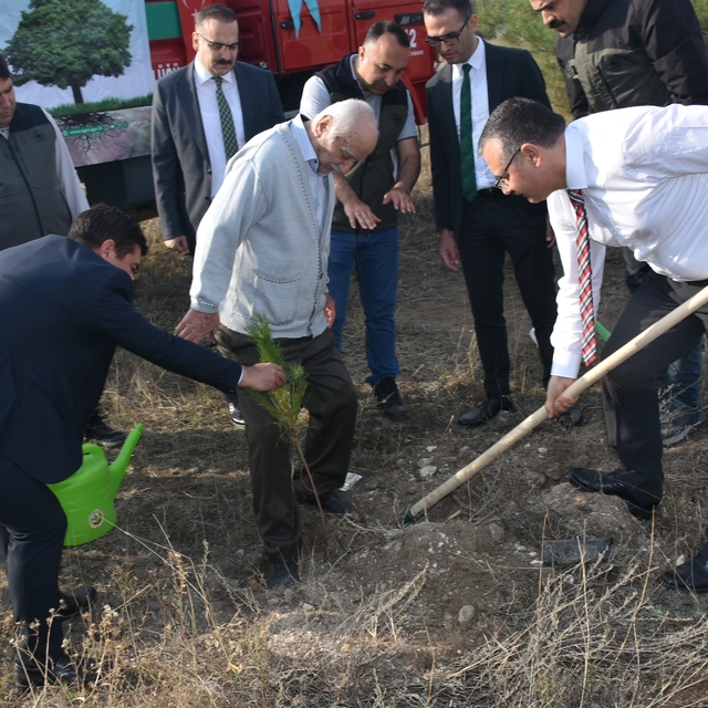 Boyabat'ta "Adalet Ormanı"na 100 fidan dikildi