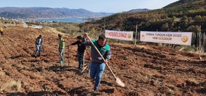 Almus ilçesinde Milli Ağaçlandırma Günü'nde bin fidan dikildi